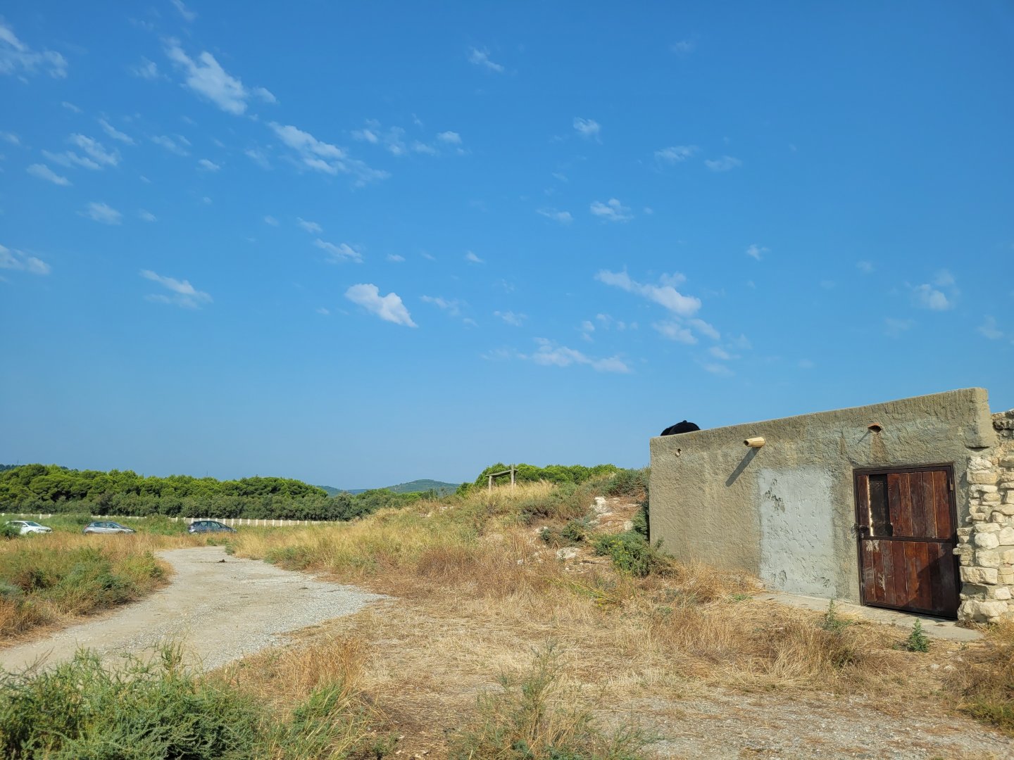 Asian black bear exhibit -Réserve Africaine de Sigean (2022)