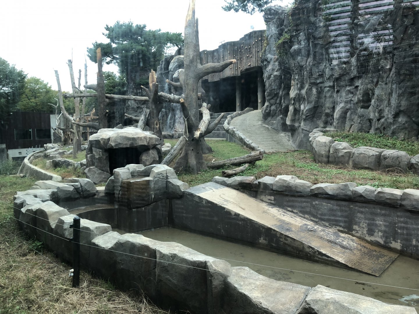 Asian Black Bear Exhibit