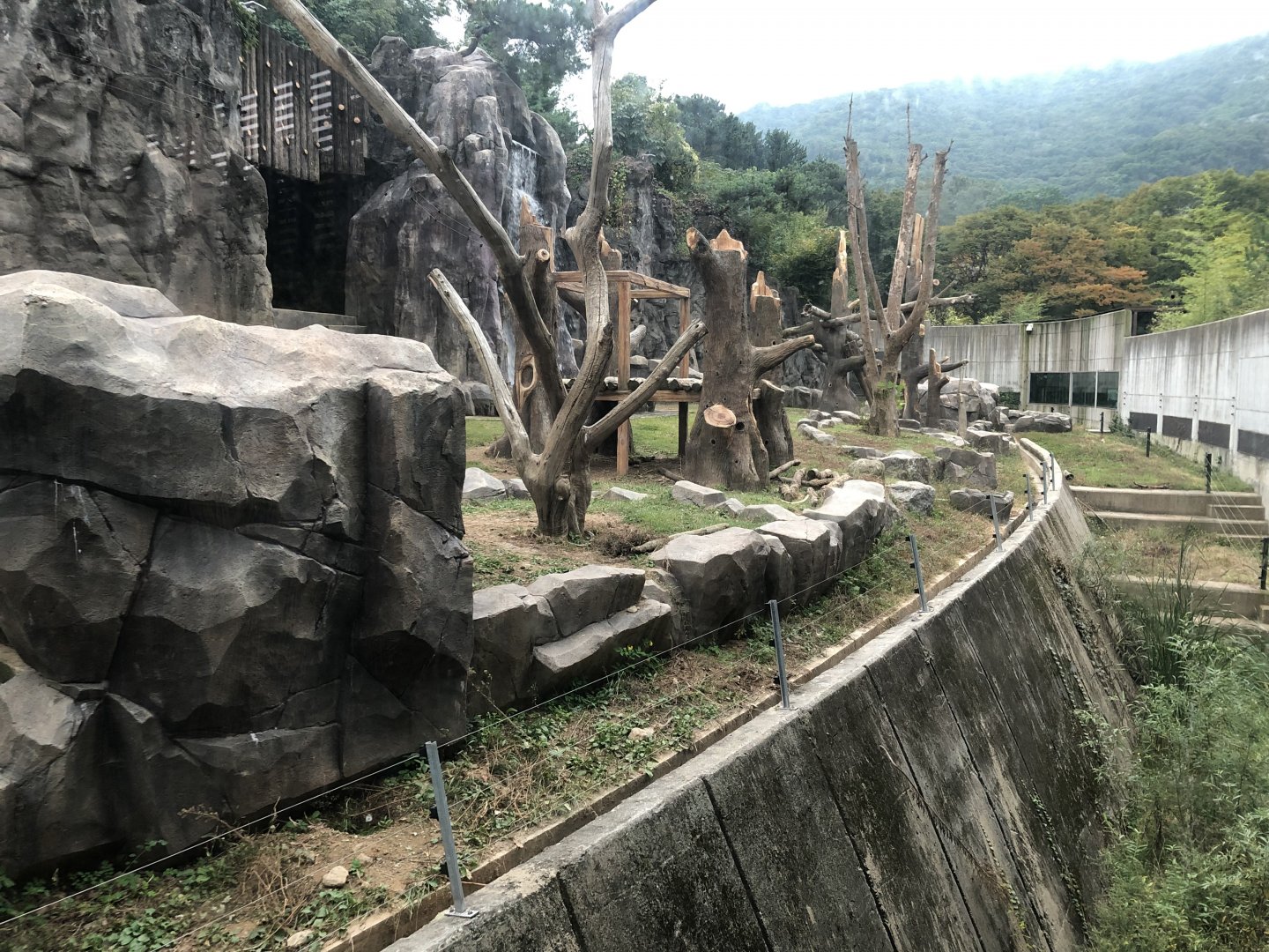 Asian Black Bear Exhibit