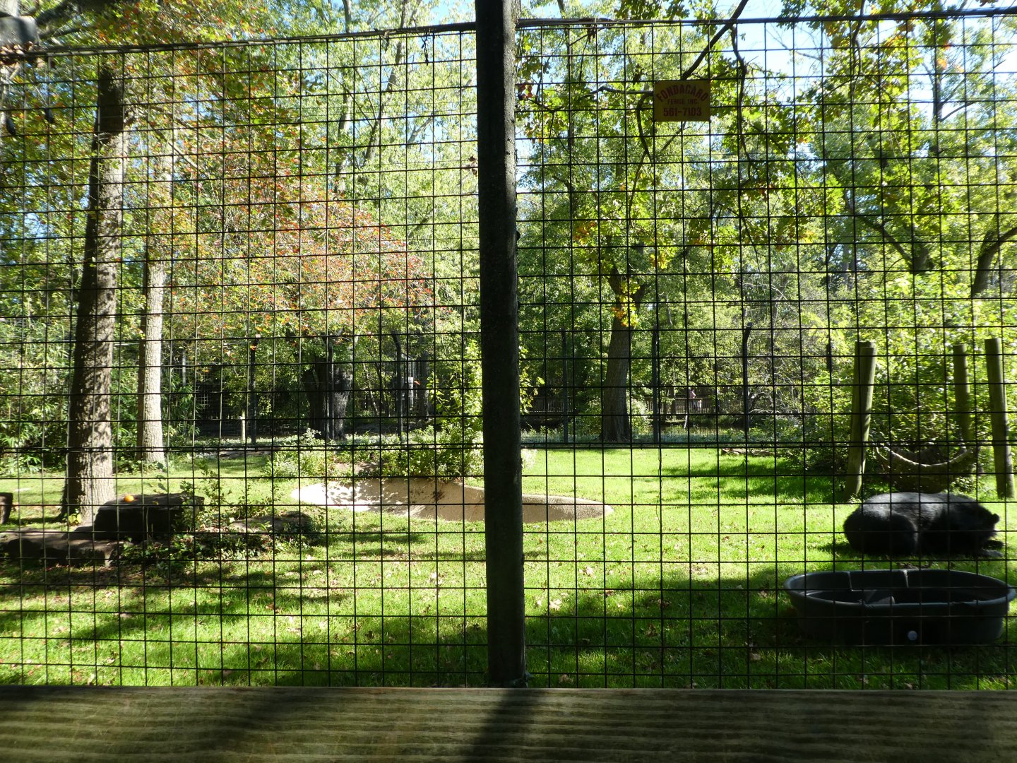 Asian Black Bear Exhibit