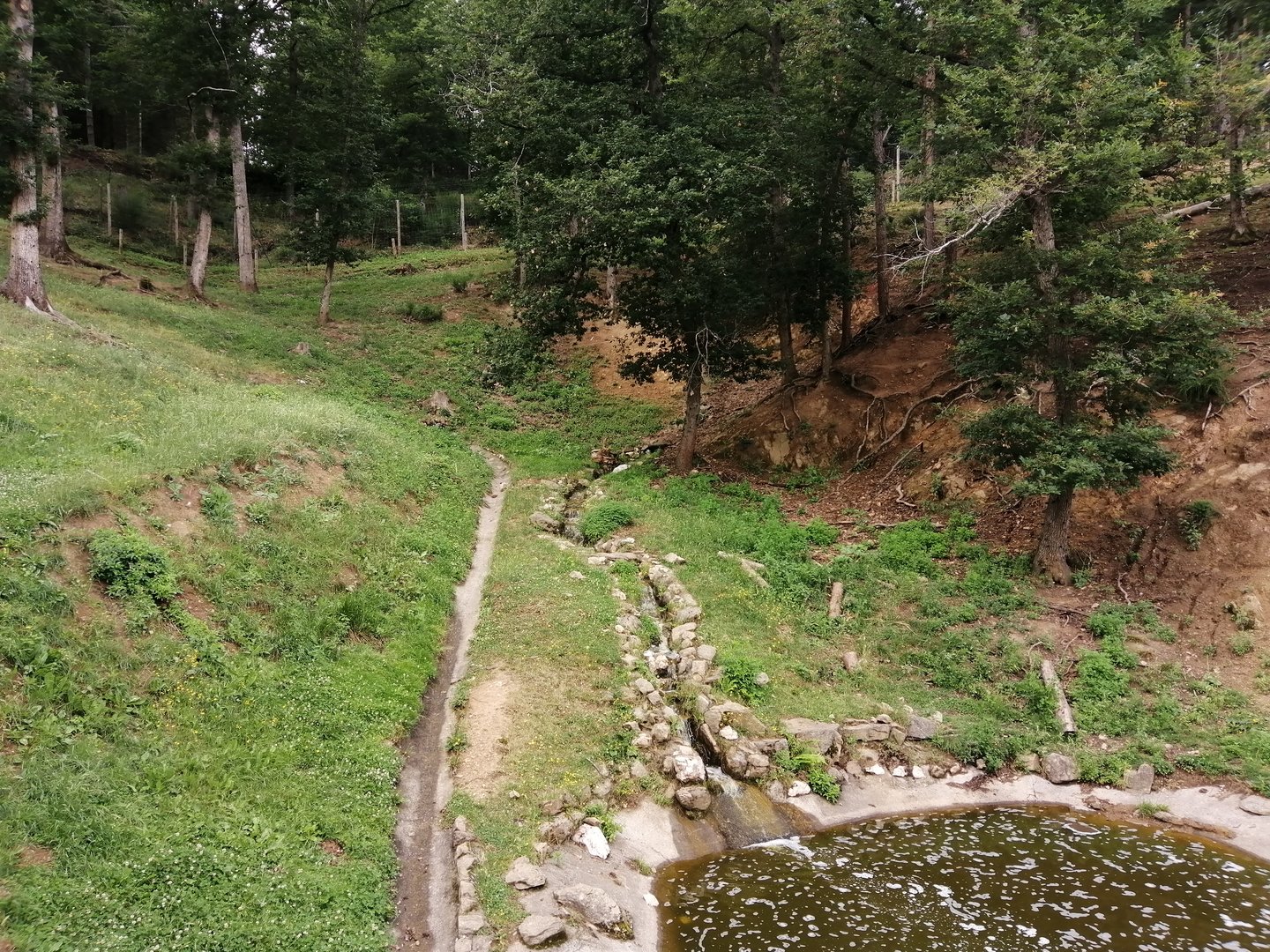 Asian black bear exhibit