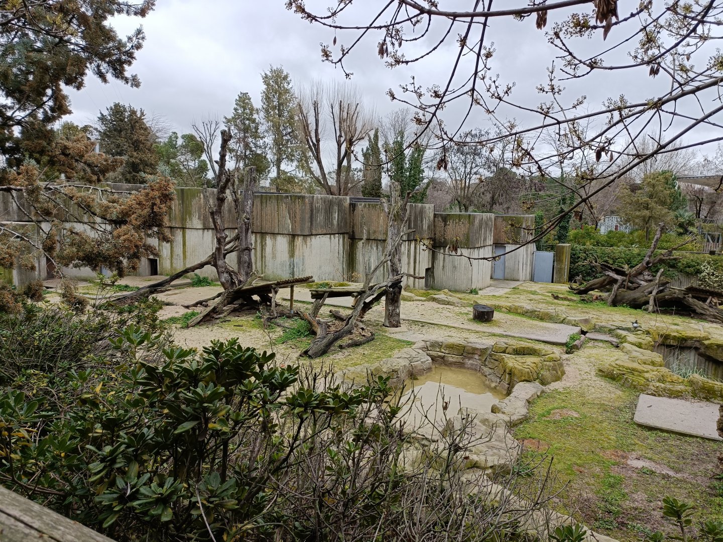 Asian black bear exhibit