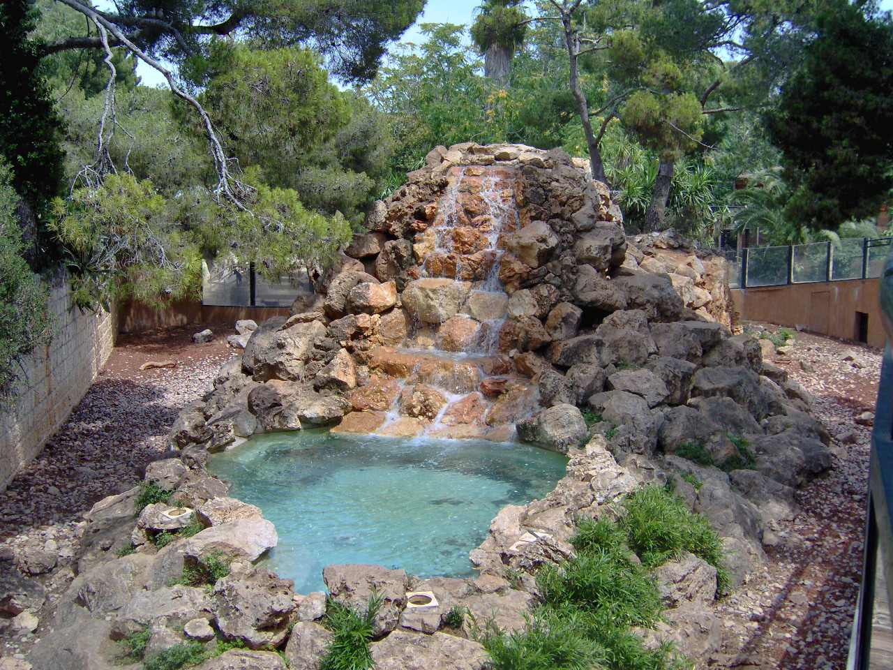 Asian Black Bears exhibit 2007
