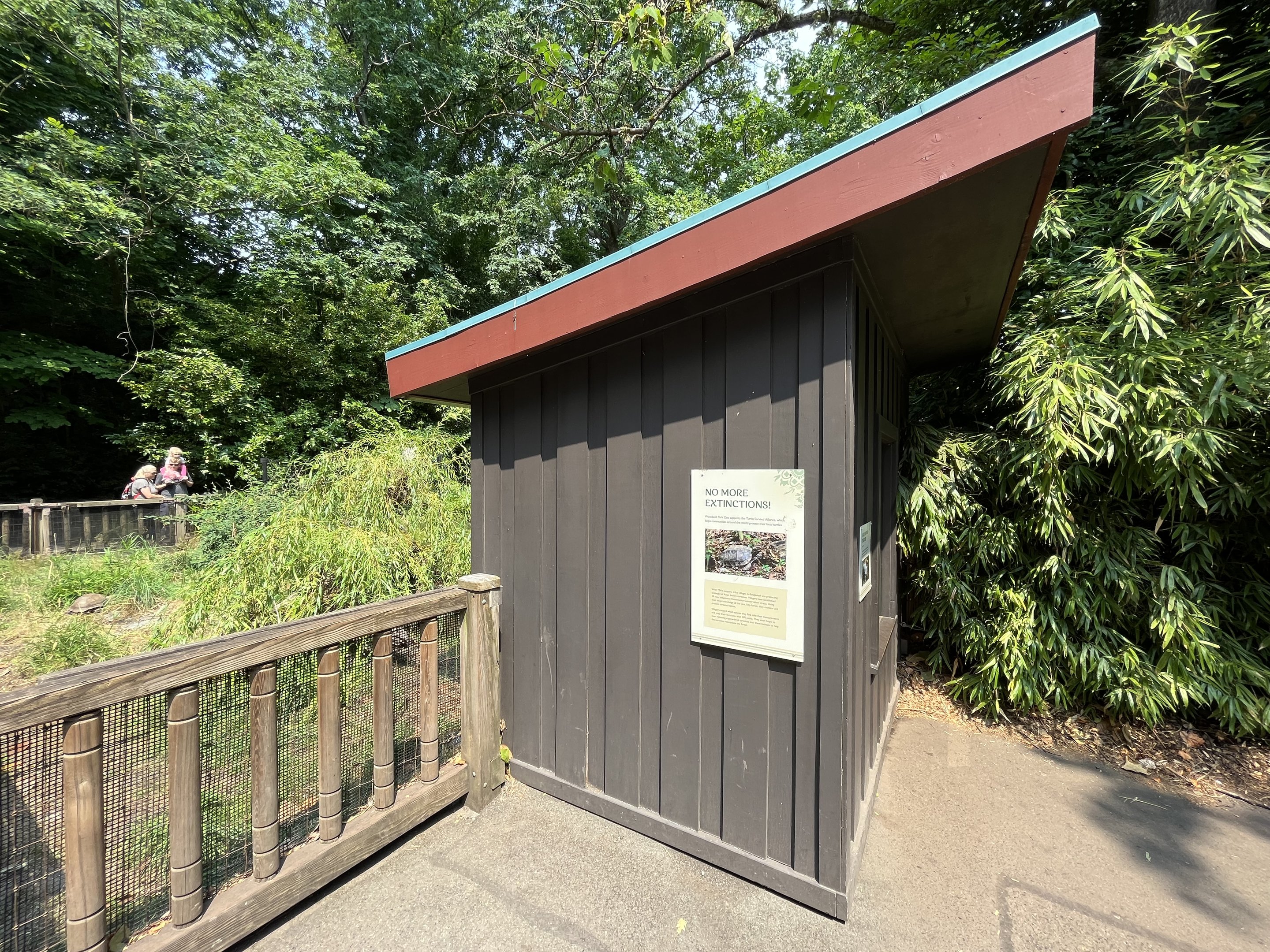 Asian Brown Tortoise Exhibit
