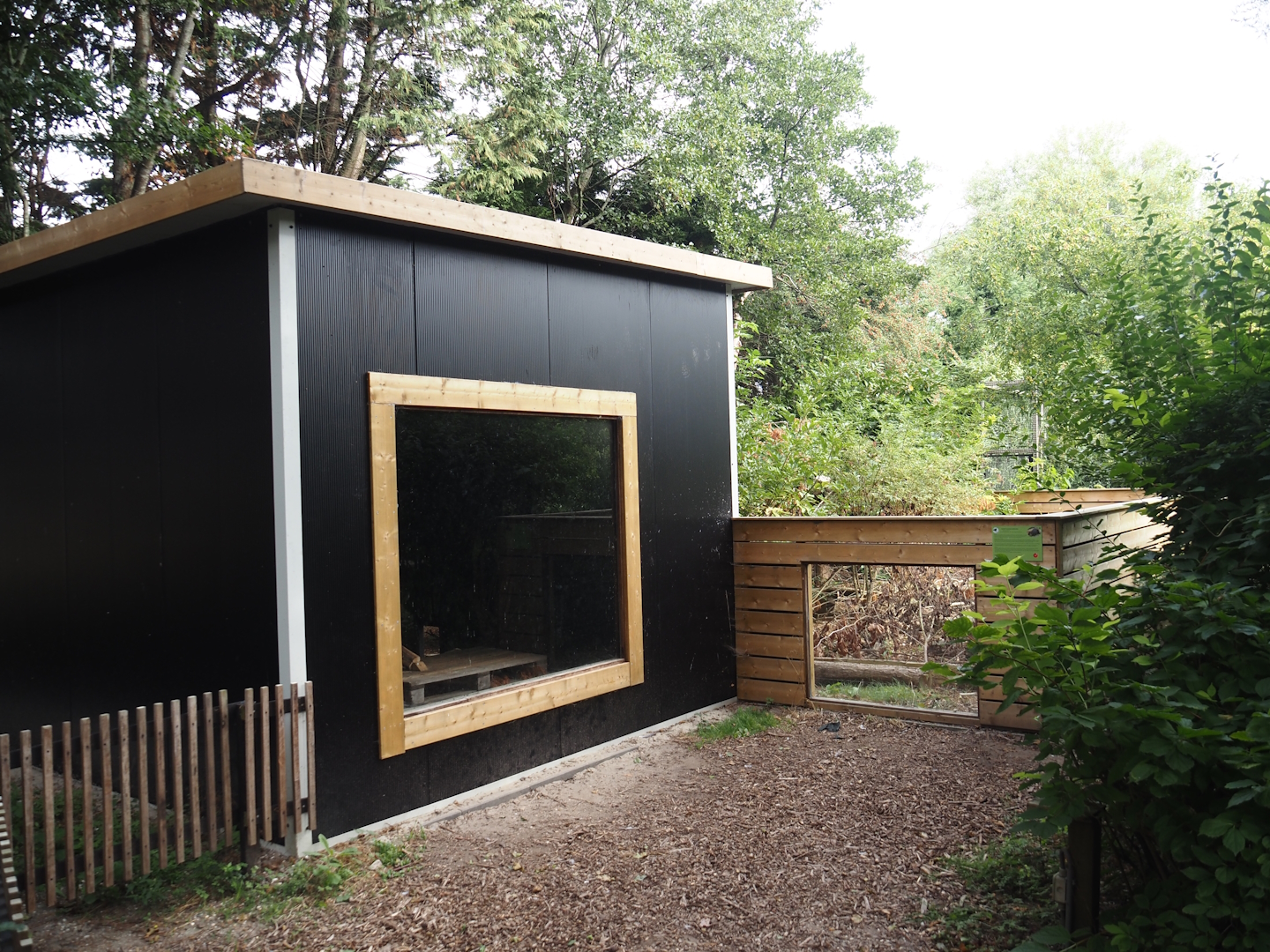 Asian brush-tailed porcupine exhibit and house, 2025-08-17