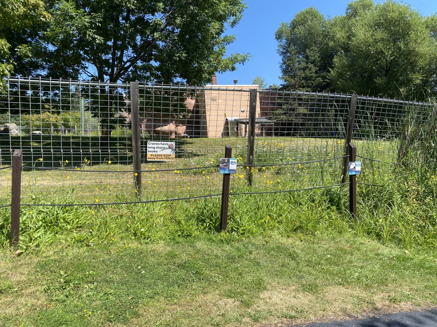 Asian Caravan - Central Chinese Goral/White-Naped Crane Exhibit