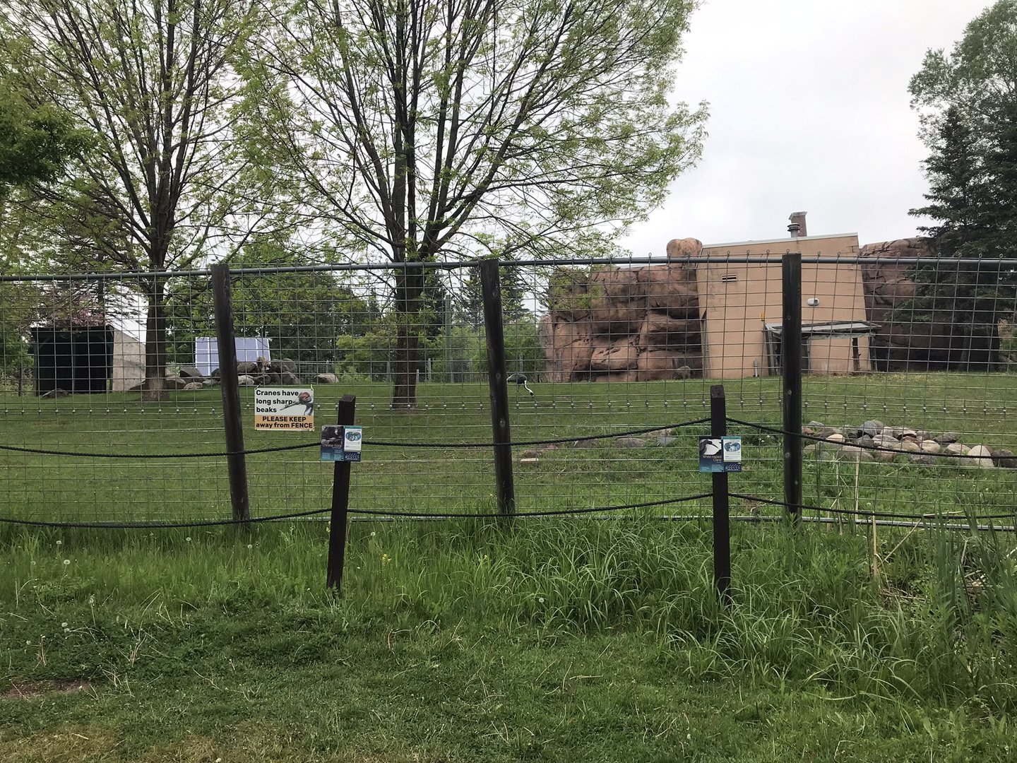 Asian Caravan - Central Chinese Goral/White-Naped Crane Exhibit
