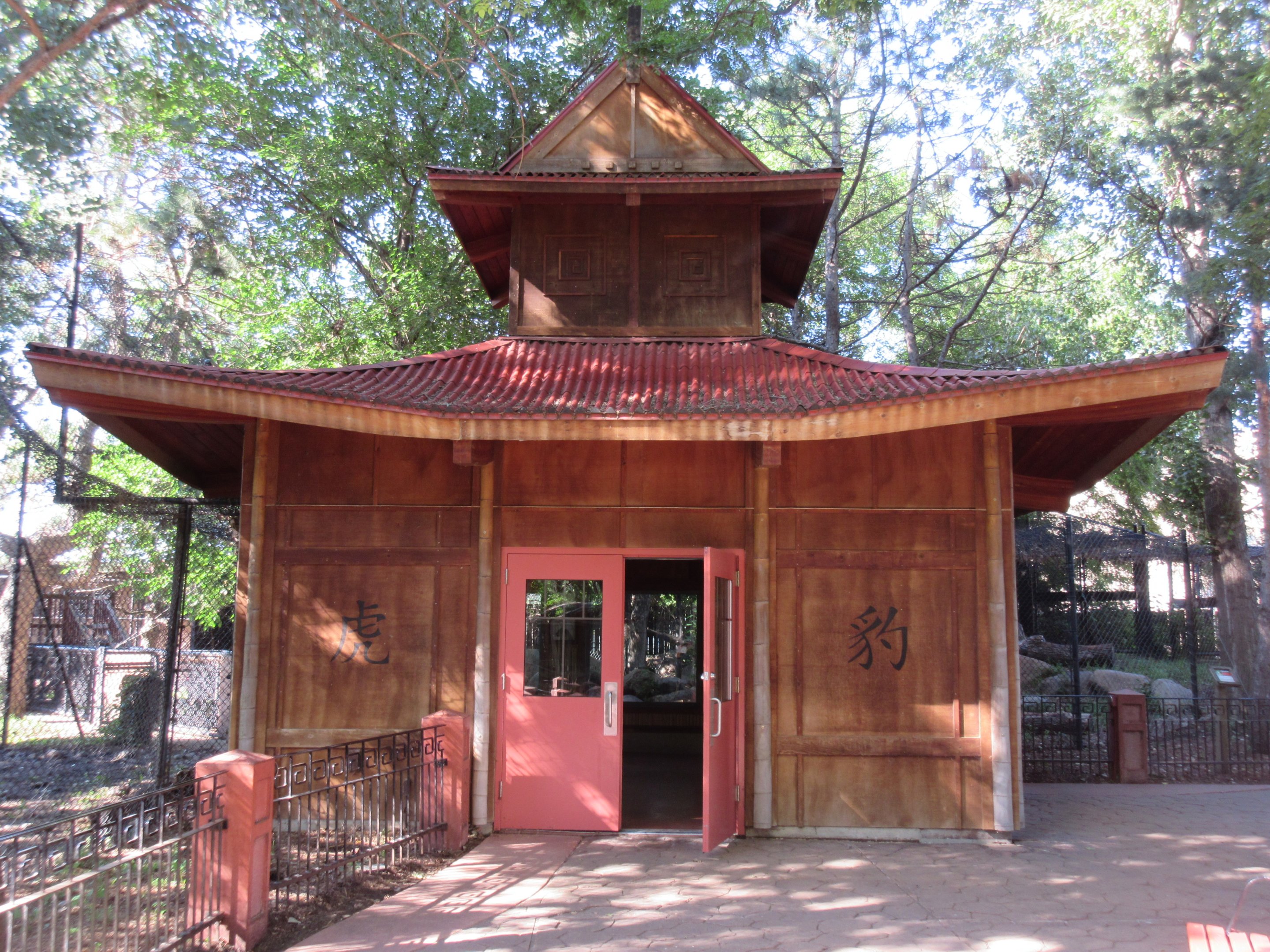 Asian Cats - Amur Tiger + Snow Leopard Viewing Area