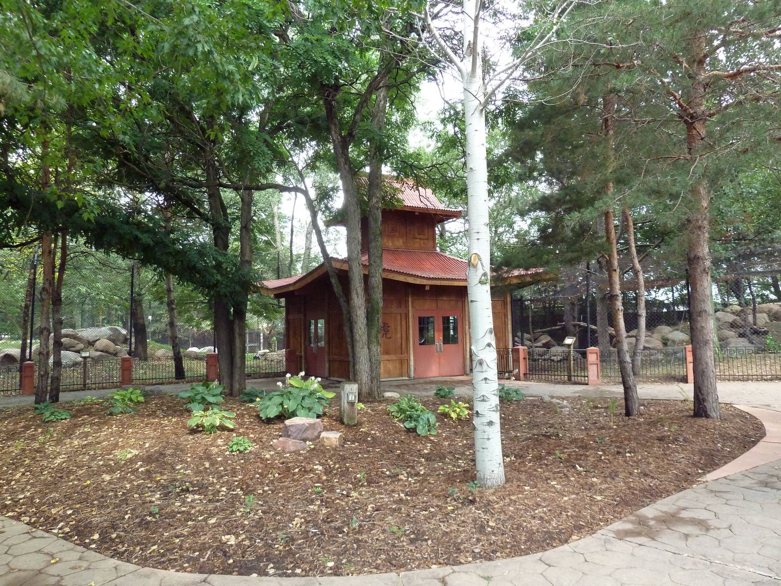 Asian Cats - Entrance Plaza