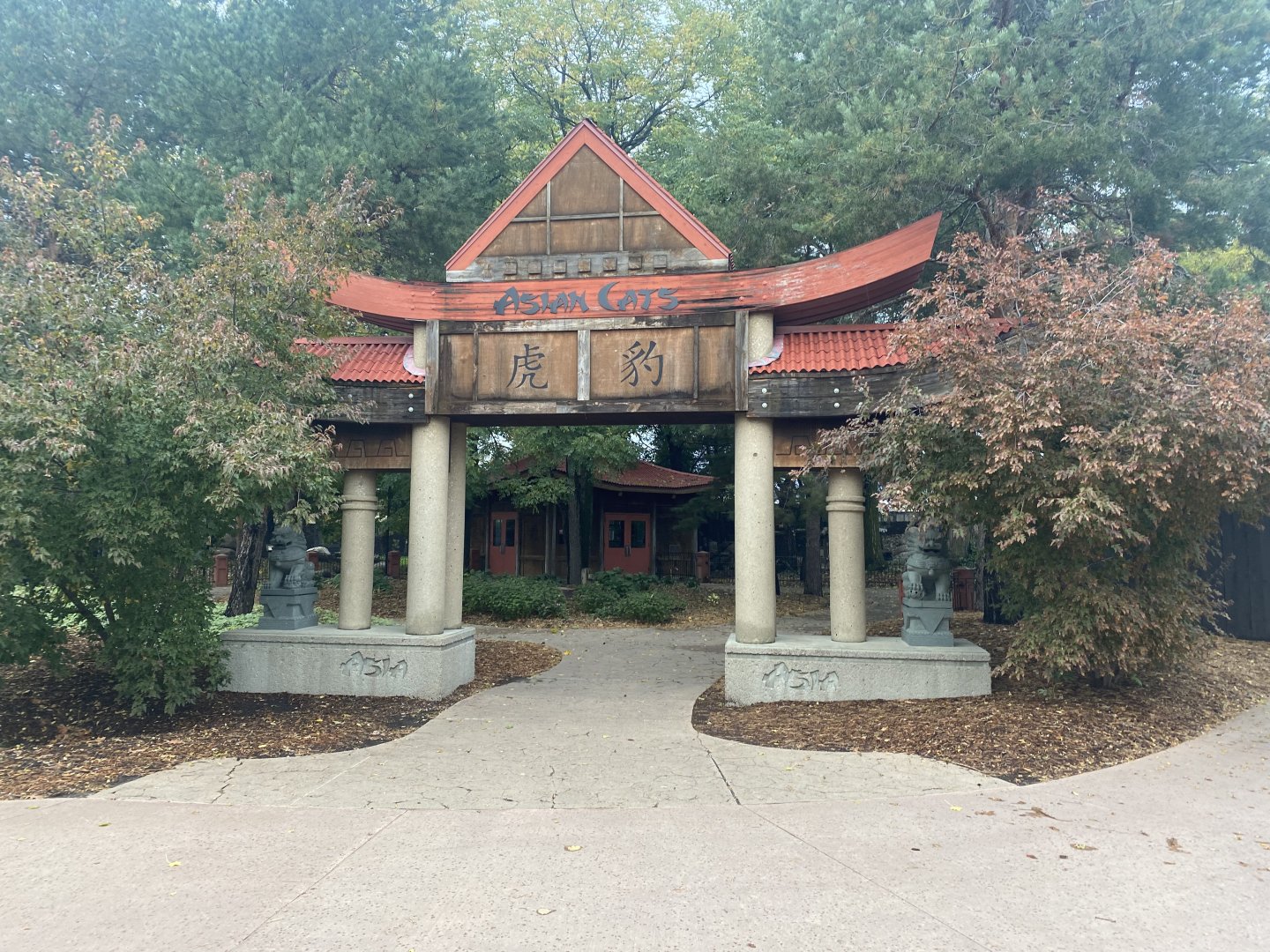 Asian Cats - Entrance