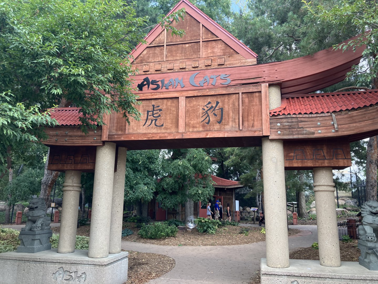 Asian Cats - Entrance