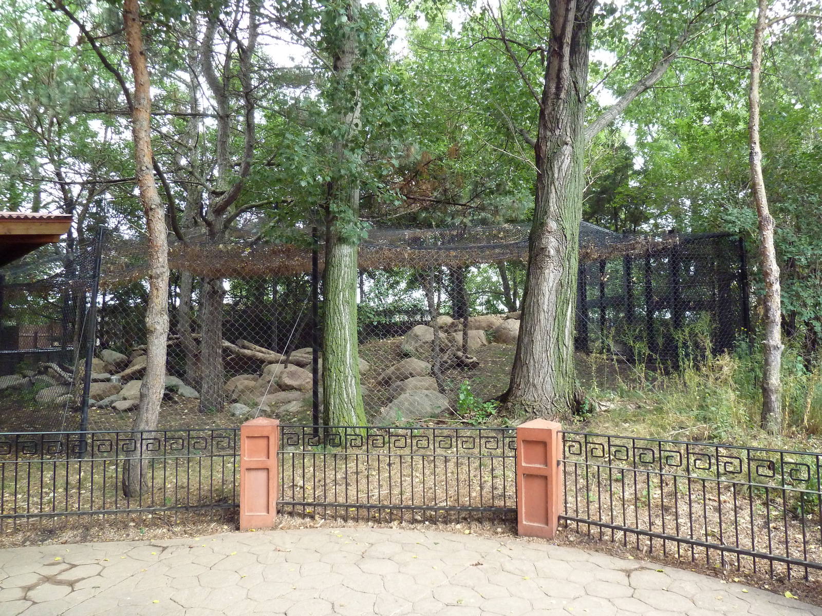 Asian Cats - Snow Leopard Exhibit