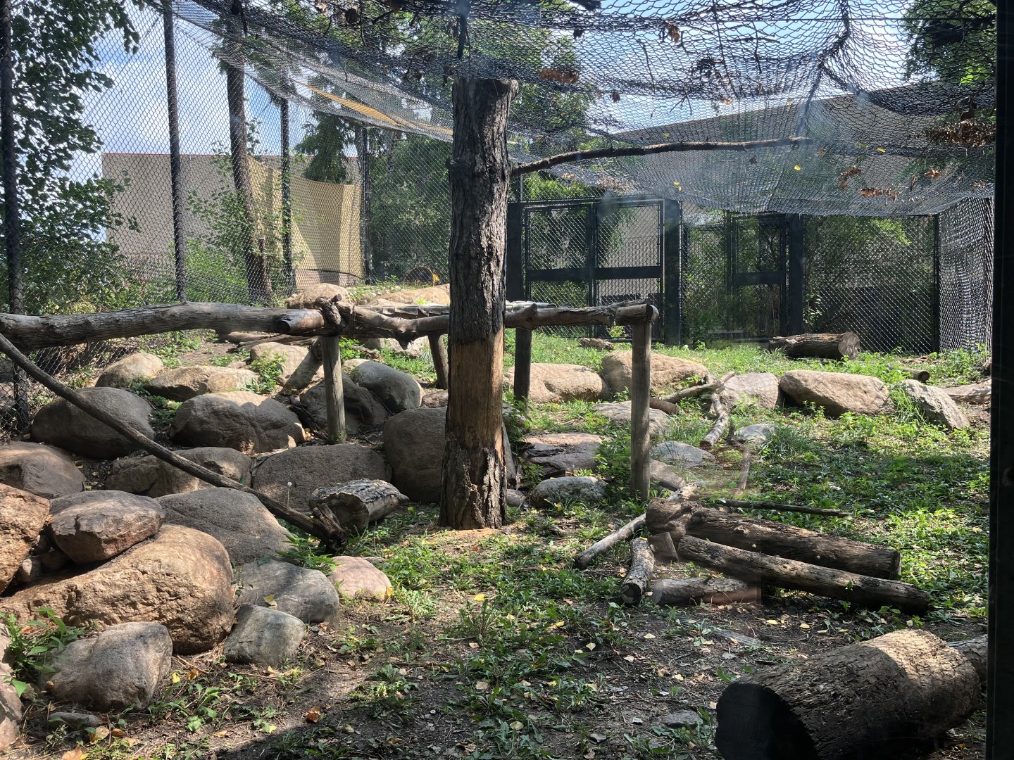 Asian Cats - Snow Leopard/Generic Leopard Exhibit