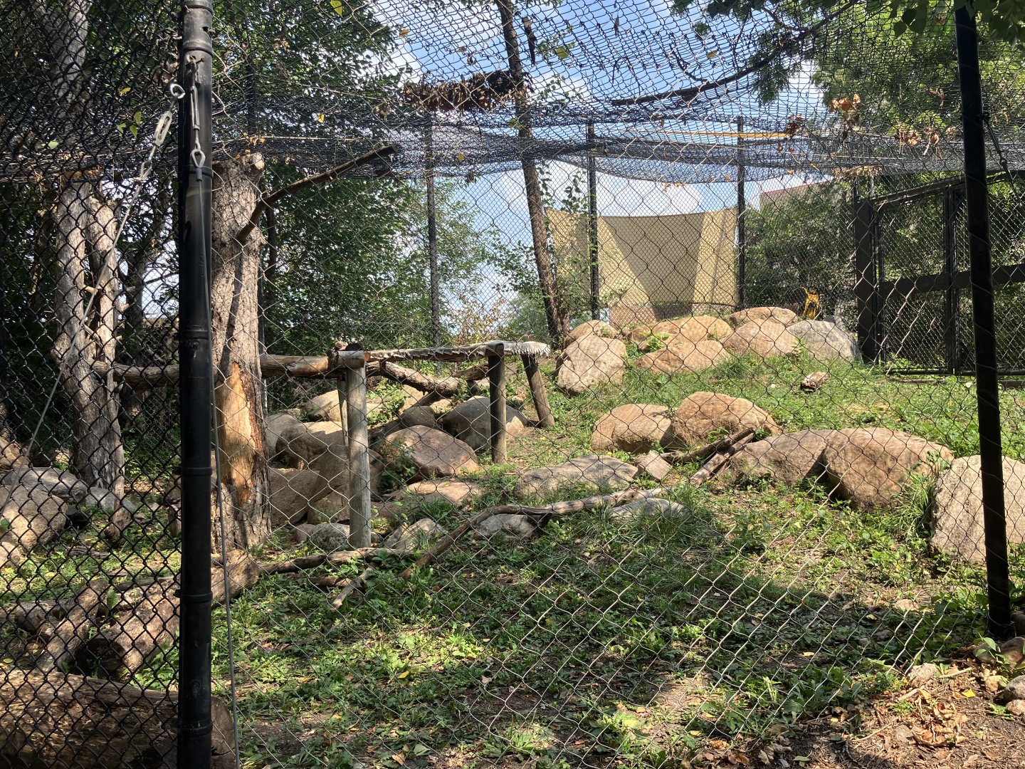Asian Cats - Snow Leopard/Generic Leopard Exhibit