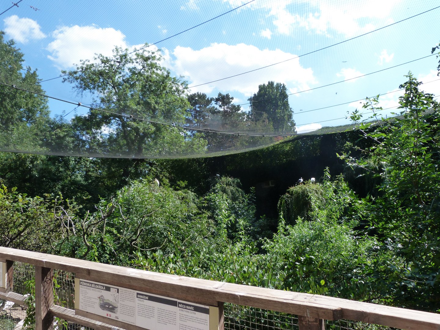 Asian cliff walkthrough aviary -Zoo Praha (2025)