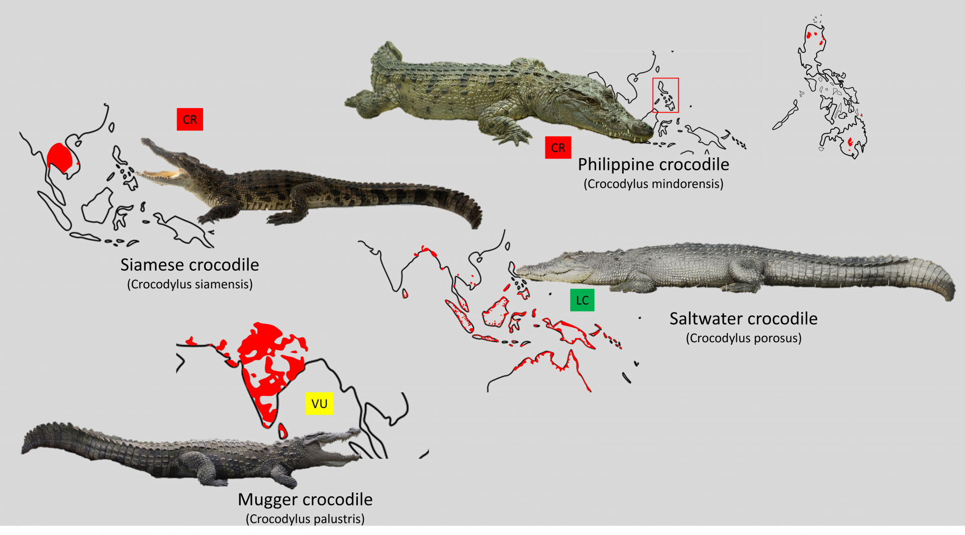 Asian crocodile distribution maps