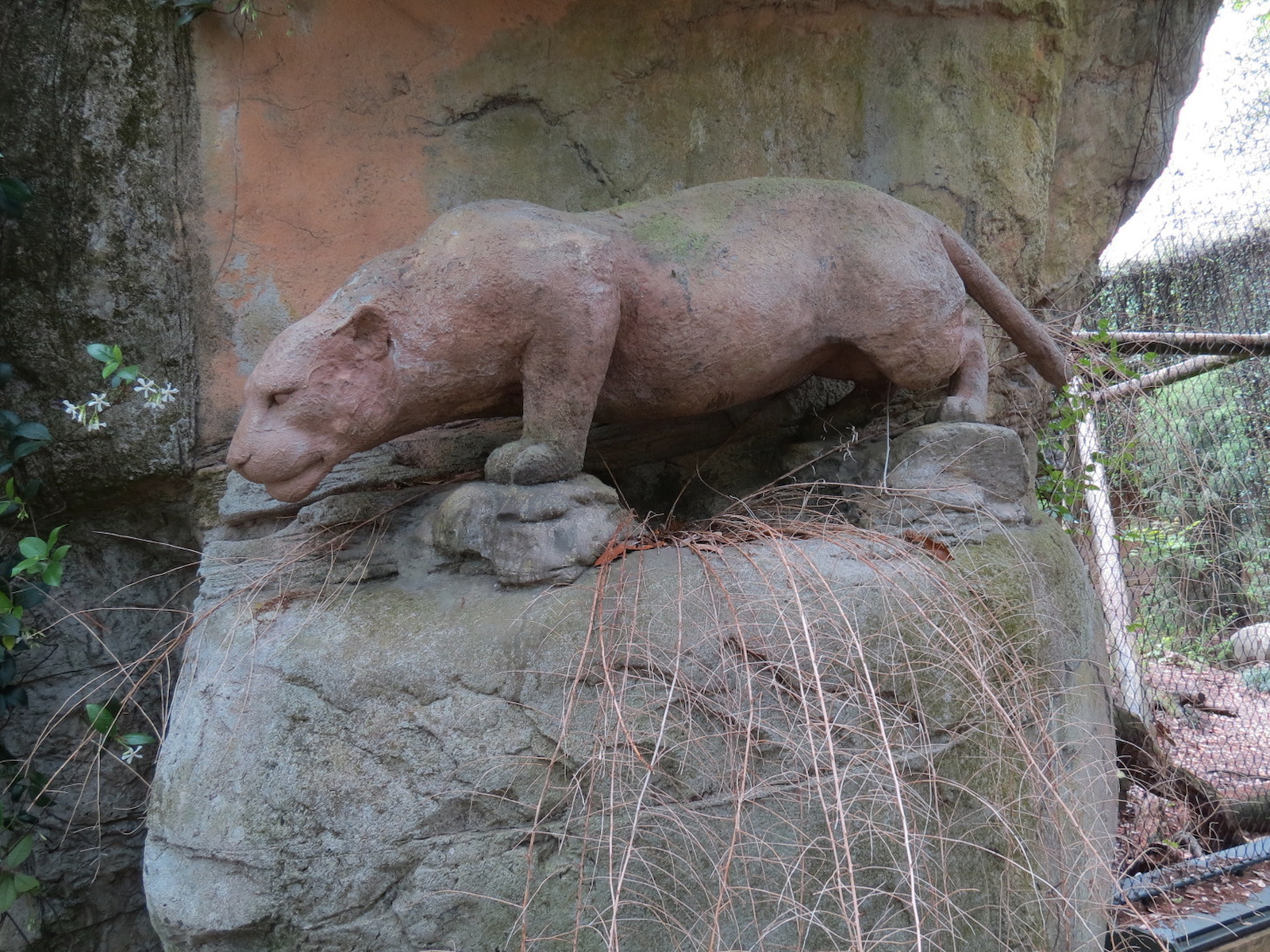 Asian Domain - Amur Leopard Statue