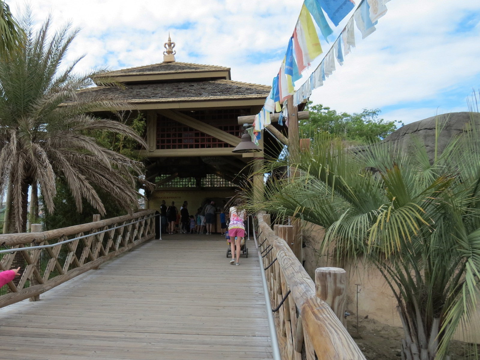 Asian Domain - Asian Elephant Exhibit Viewing Pavilion