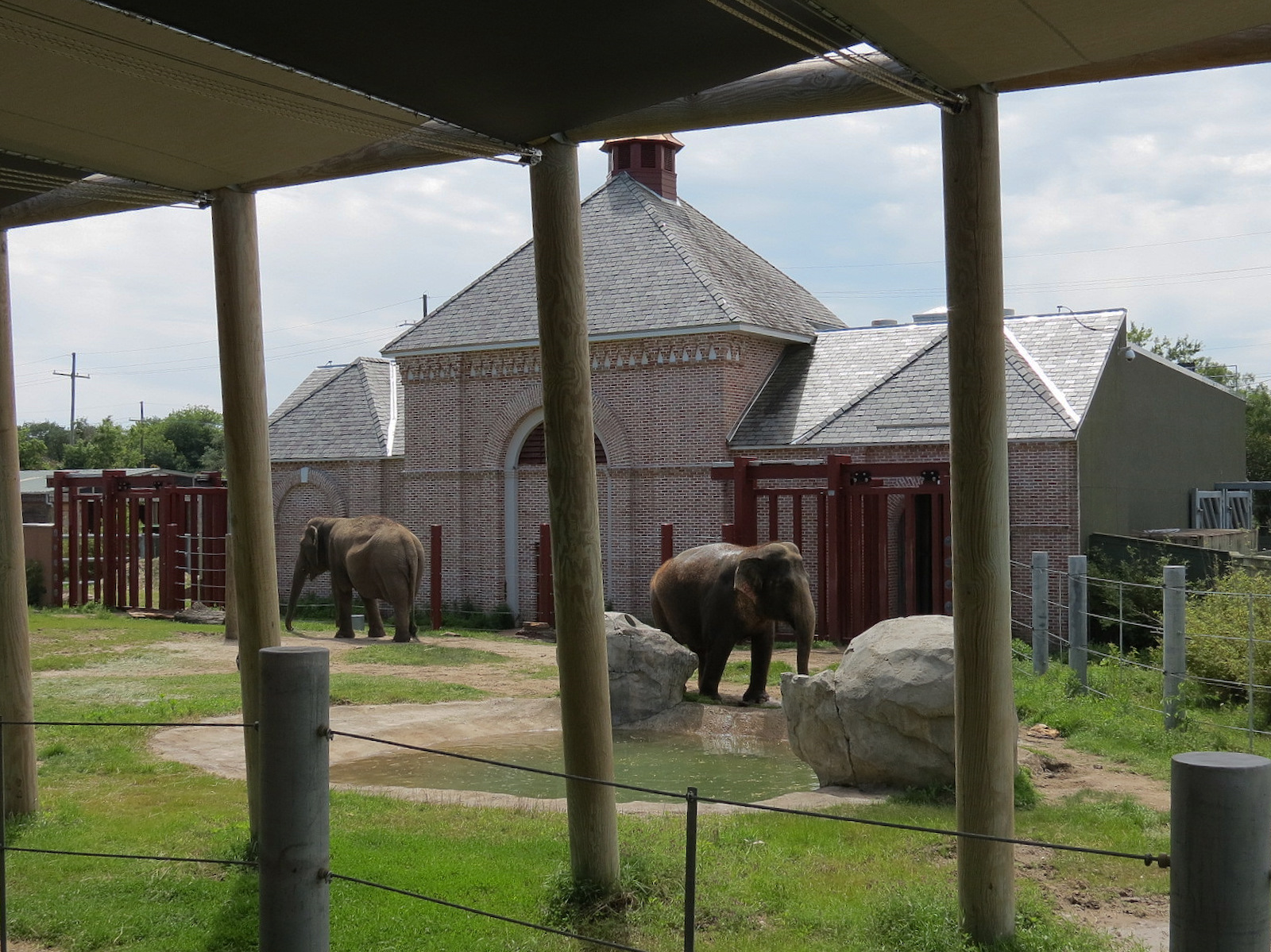 Asian Domain - Asian Elephant Exhibit