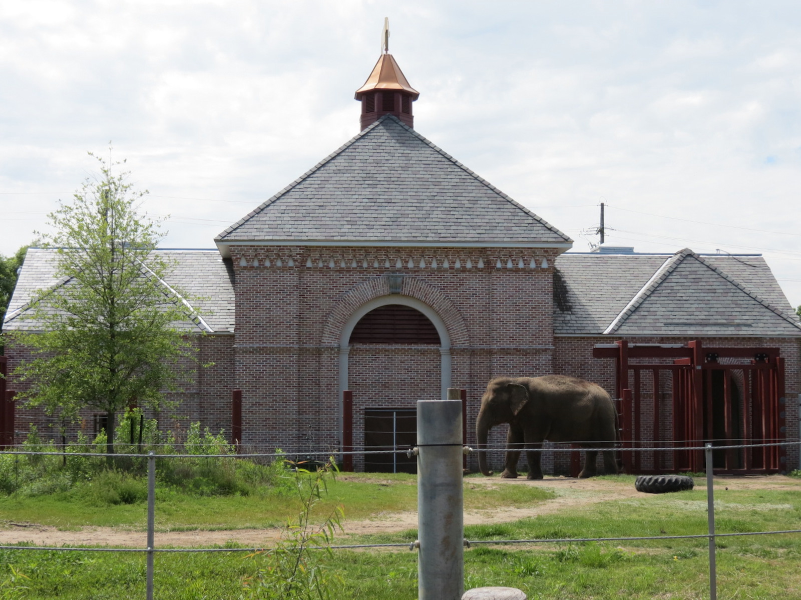Asian Domain - Asian Elephant Exhibit