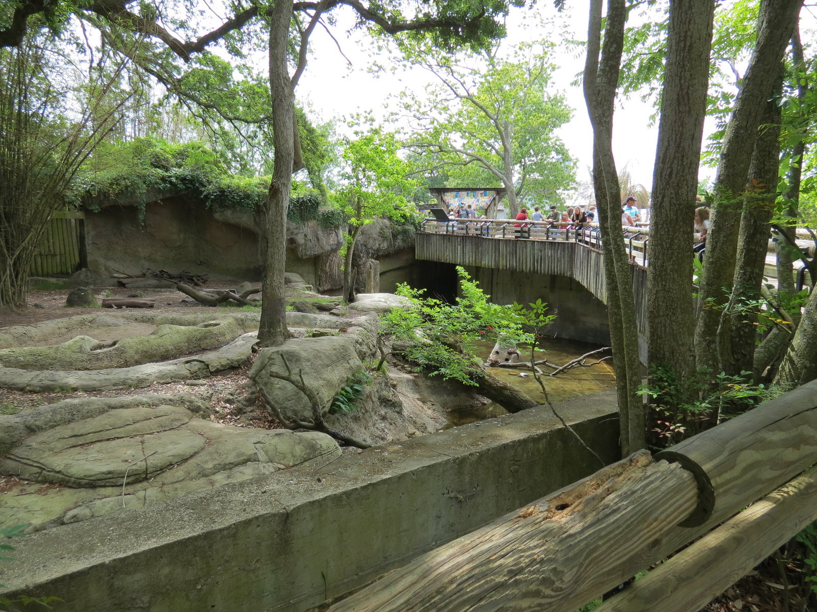Asian Domain - Asian Small-clawed Otter and Babirusa Exhibit