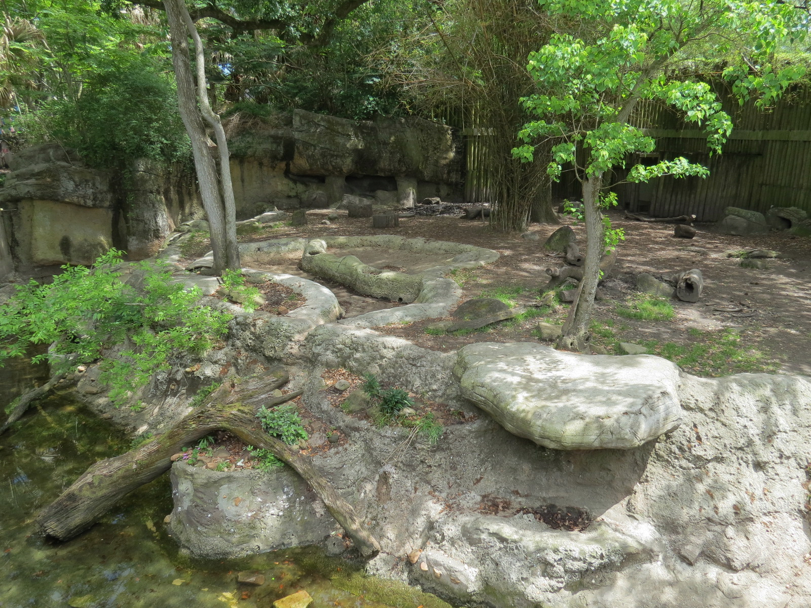 Asian Domain - Asian Small-clawed Otter and Babirusa Exhibit