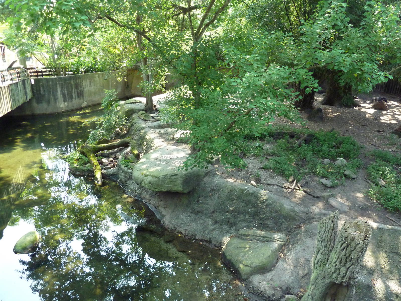 Asian Domain - Babirusa/Small-Clawed Otter Exhibit