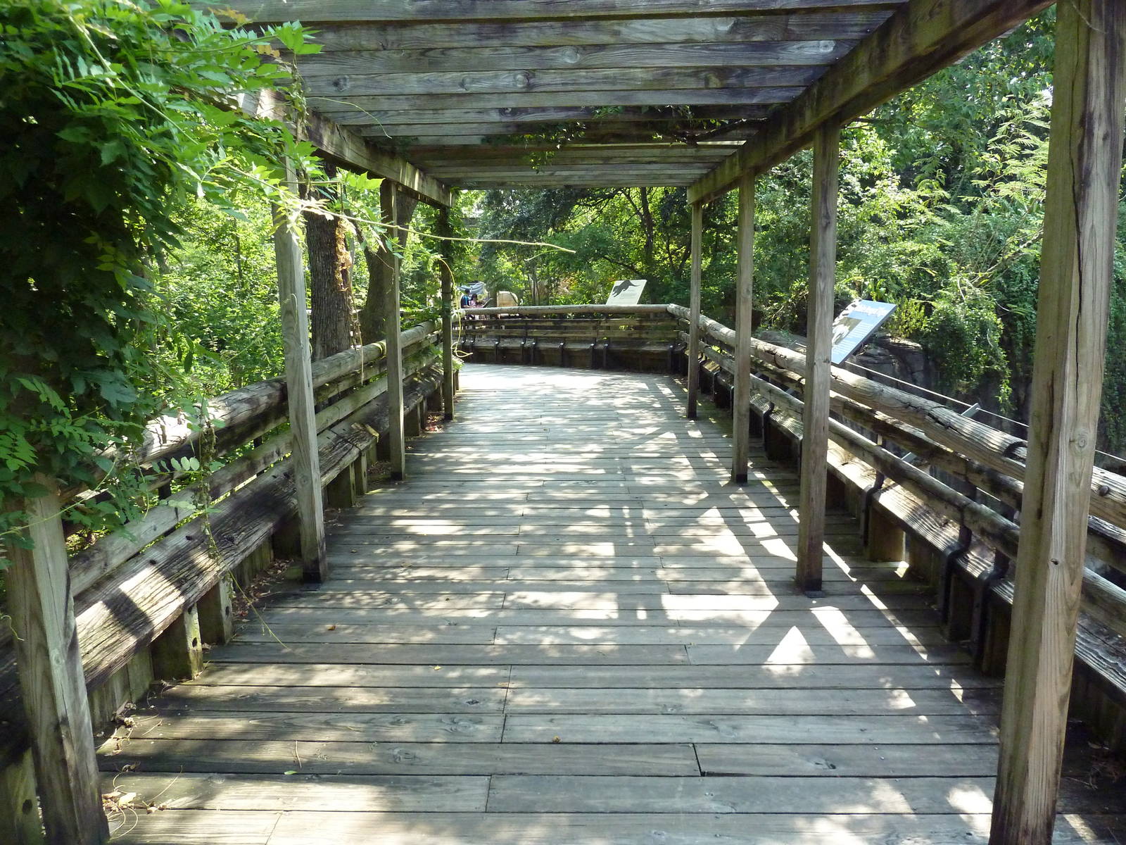 Asian Domain - Boardwalk