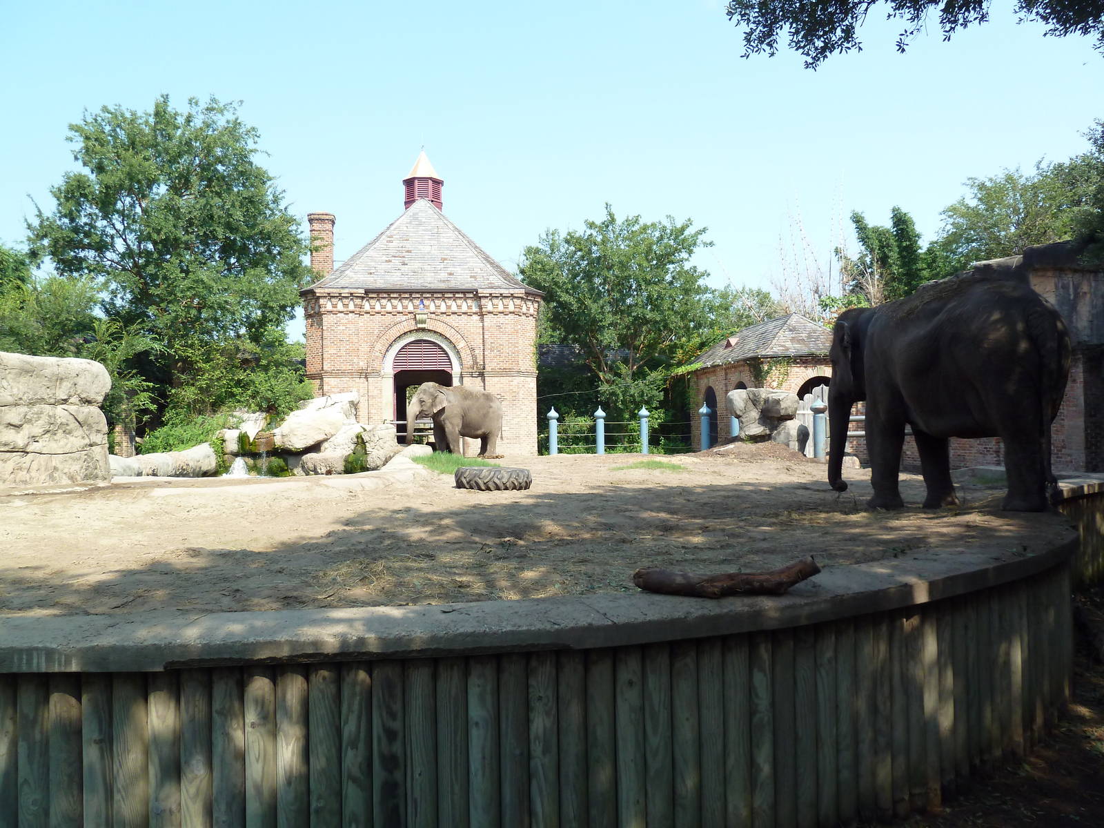 Asian Domain - Elephant Exhibit