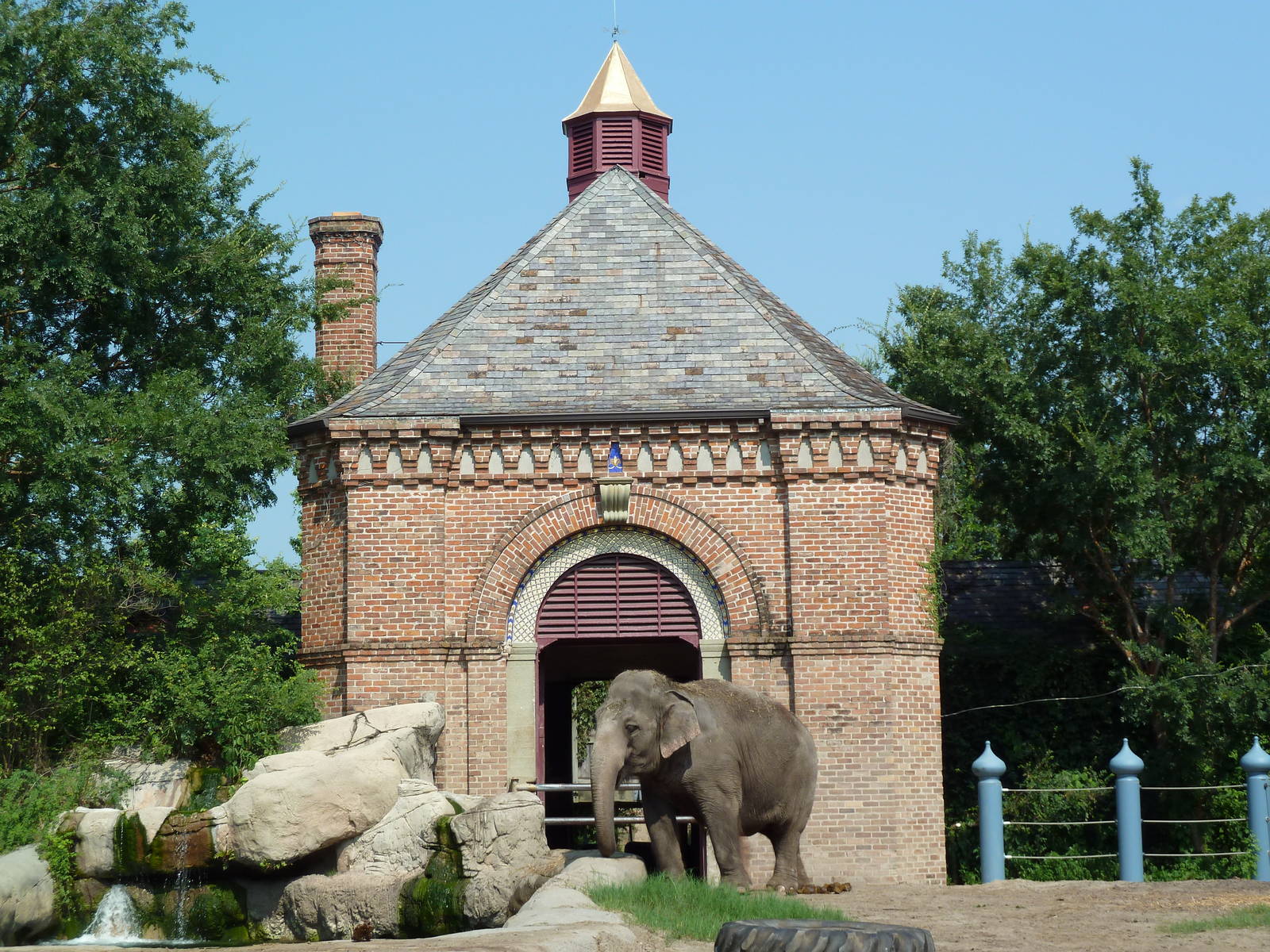 Asian Domain - Elephant Exhibit