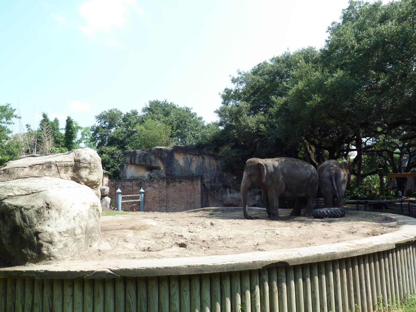 Asian Domain - Elephant Exhibit
