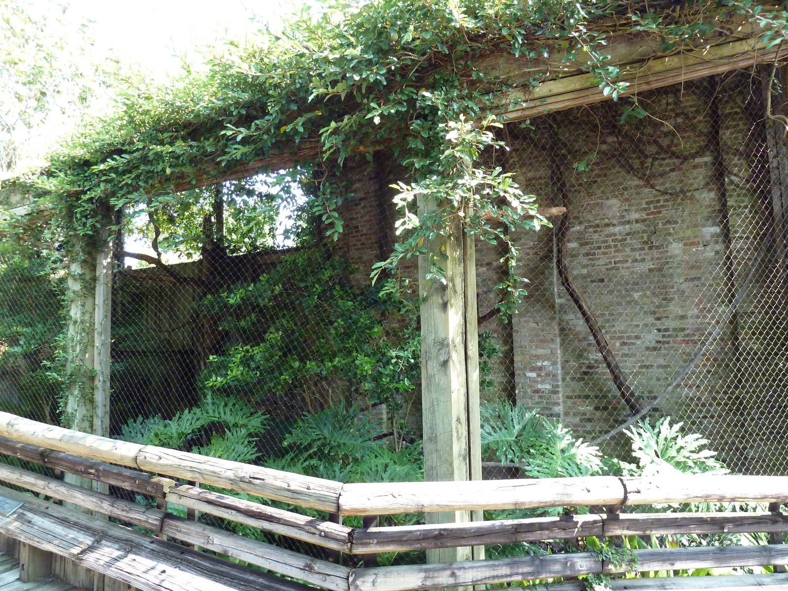 Asian Domain - Great Indian Hornbill Exhibit