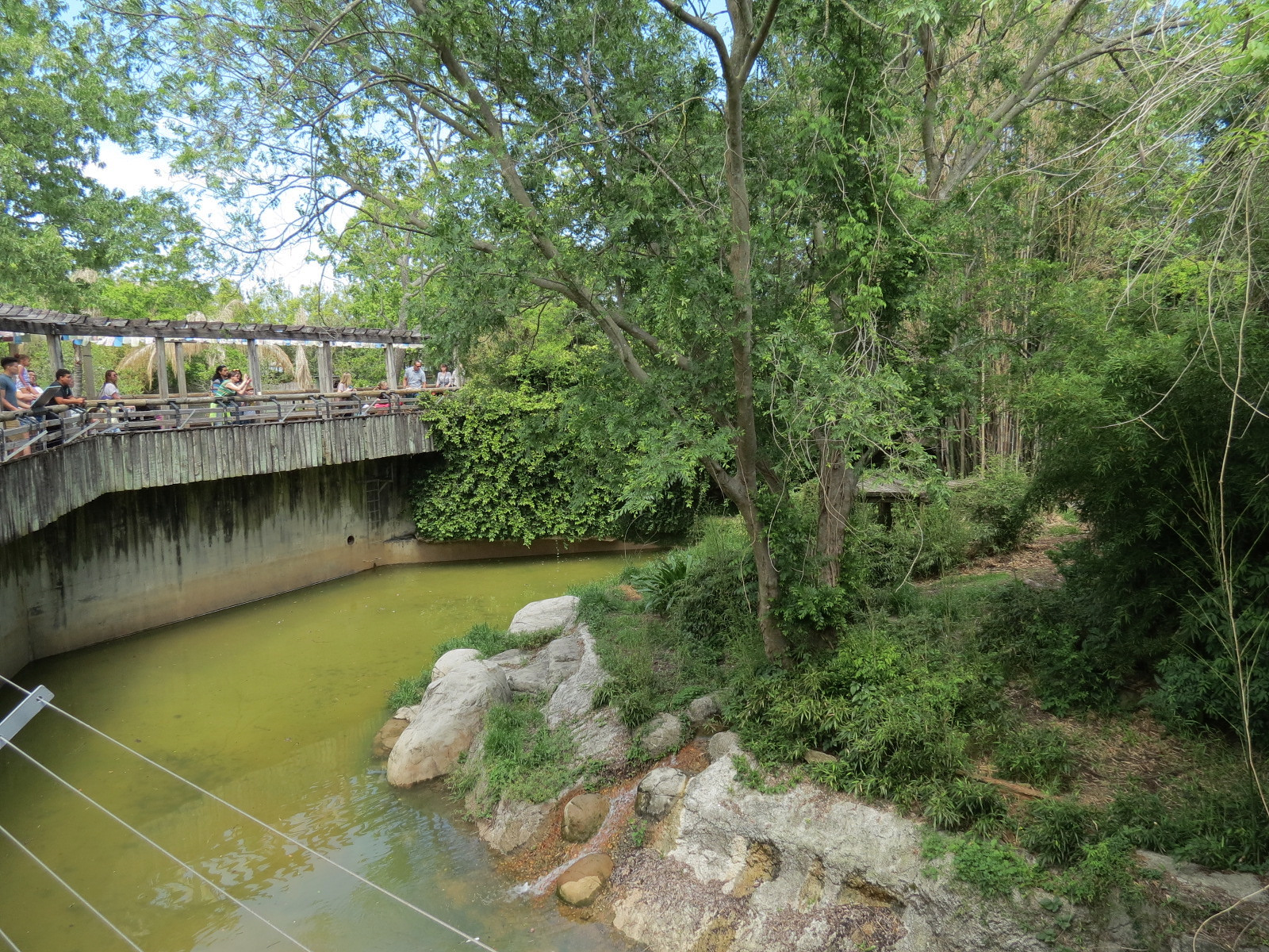 Asian Domain - Malayan Tiger Exhibit