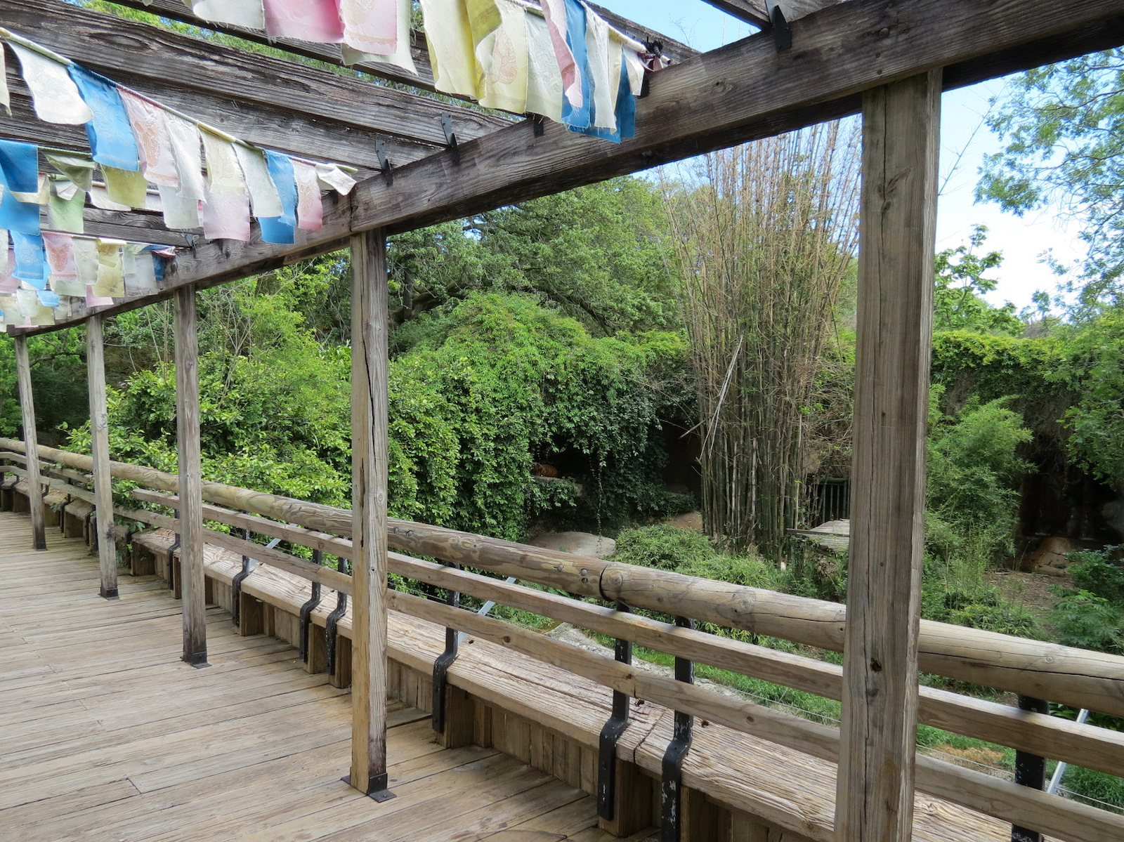 Asian Domain - Malayan Tiger Exhibit
