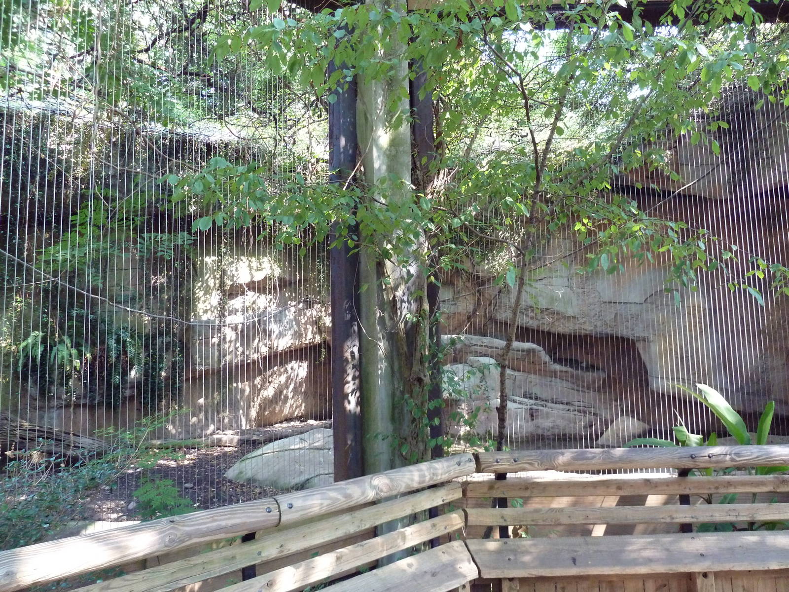 Asian Domain - Milky Stork/Babirusa Exhibit