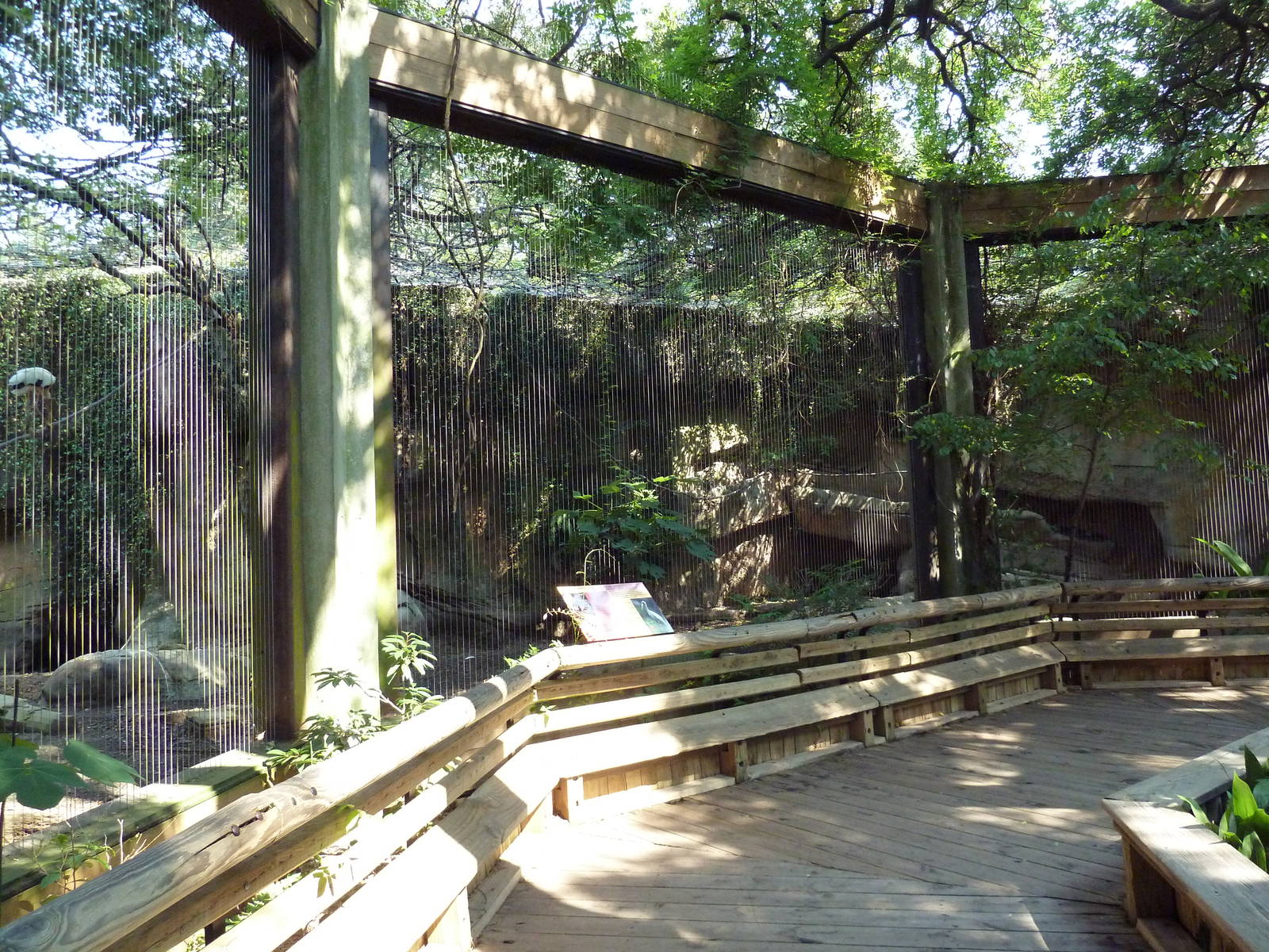 Asian Domain - Milky Stork/Babirusa Exhibit