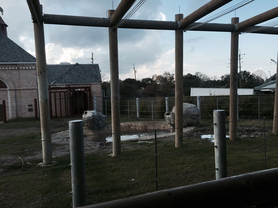 Asian Domain- New Asian Elephant Exhibit