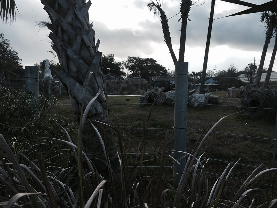 Asian Domain- New Asian Elephant Exhibit