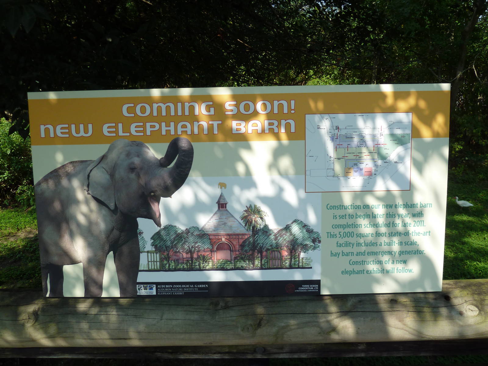 Asian Domain - New Elephant Barn Sign