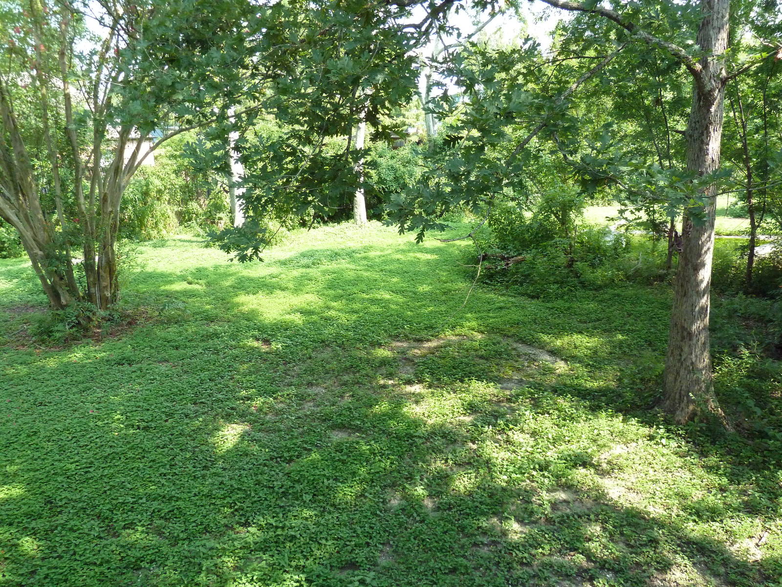 Asian Domain - Red-Crowned Crane Exhibit