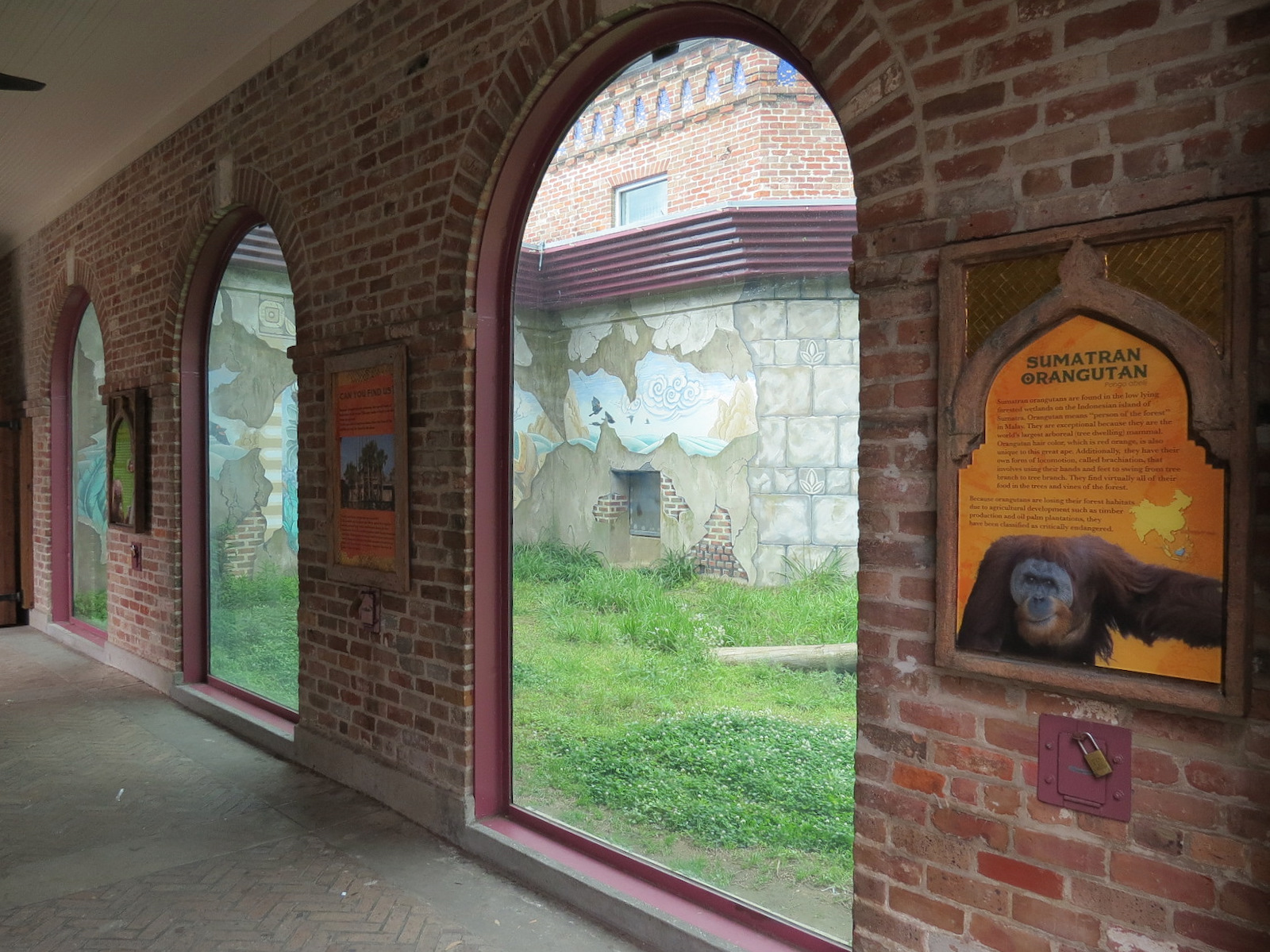 Asian Domain - Sumatran Orangutan Exhibit