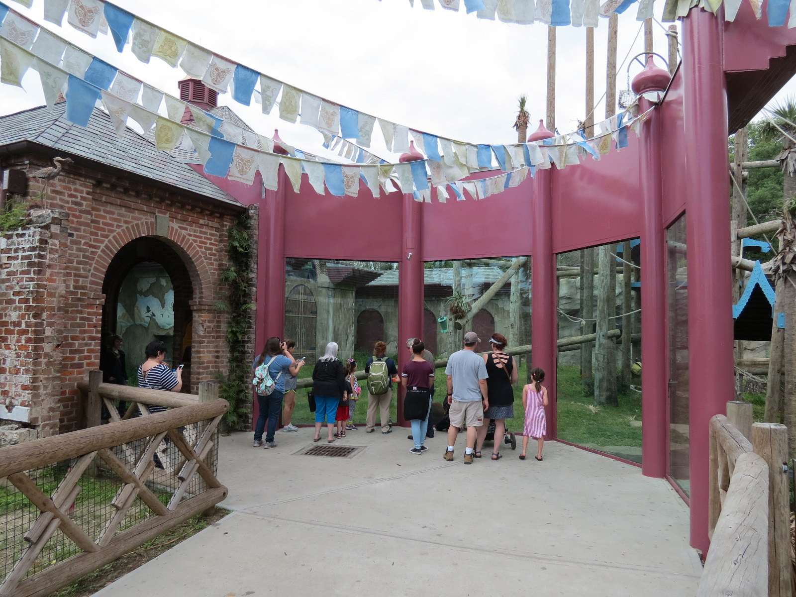 Asian Domain - Sumatran Orangutan Exhibit