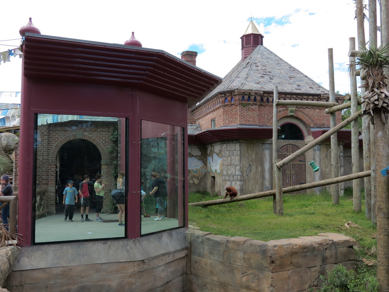 Asian Domain - Sumatran Orangutan Exhibit