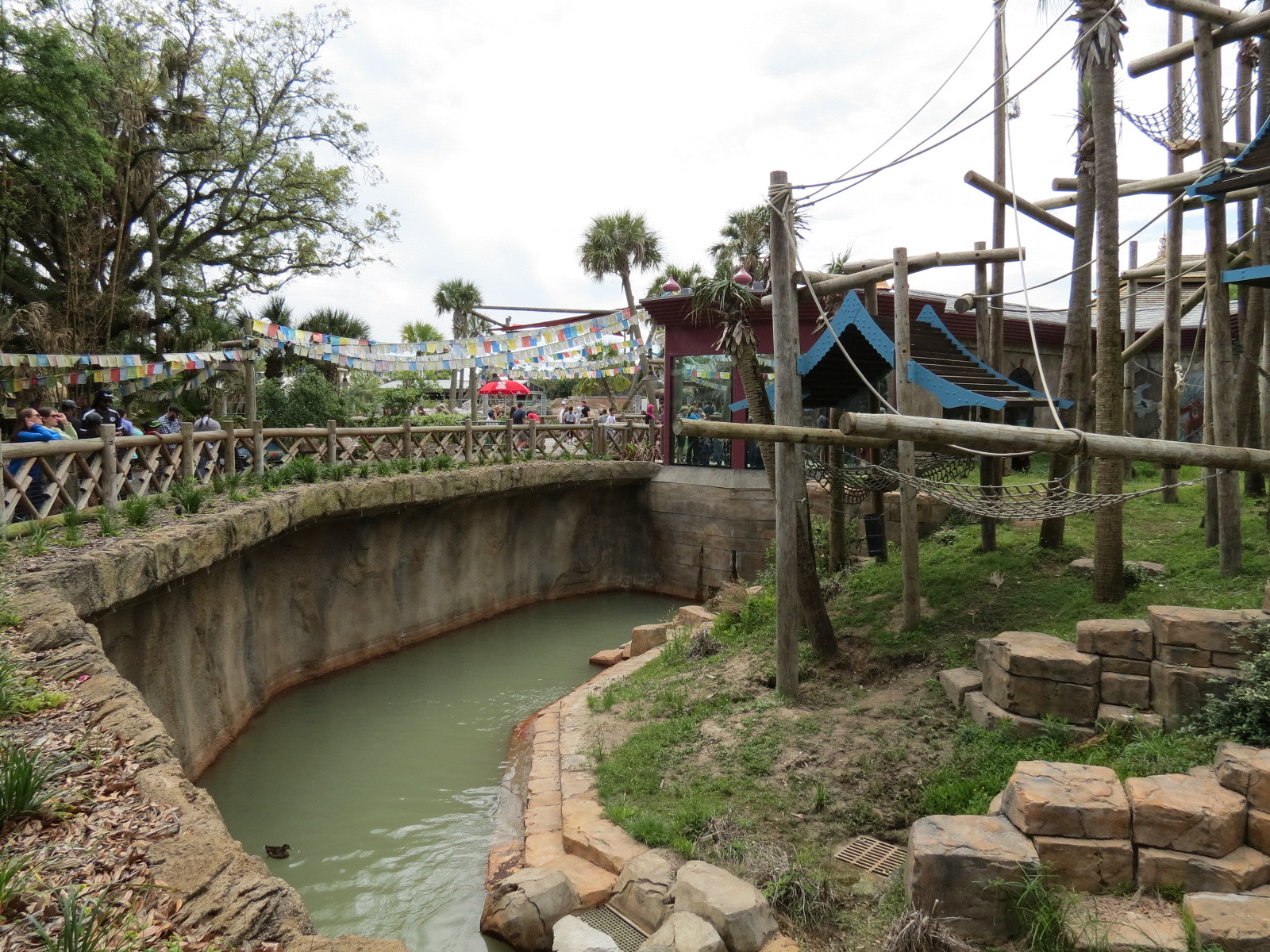 Asian Domain - Sumatran Orangutan Exhibit