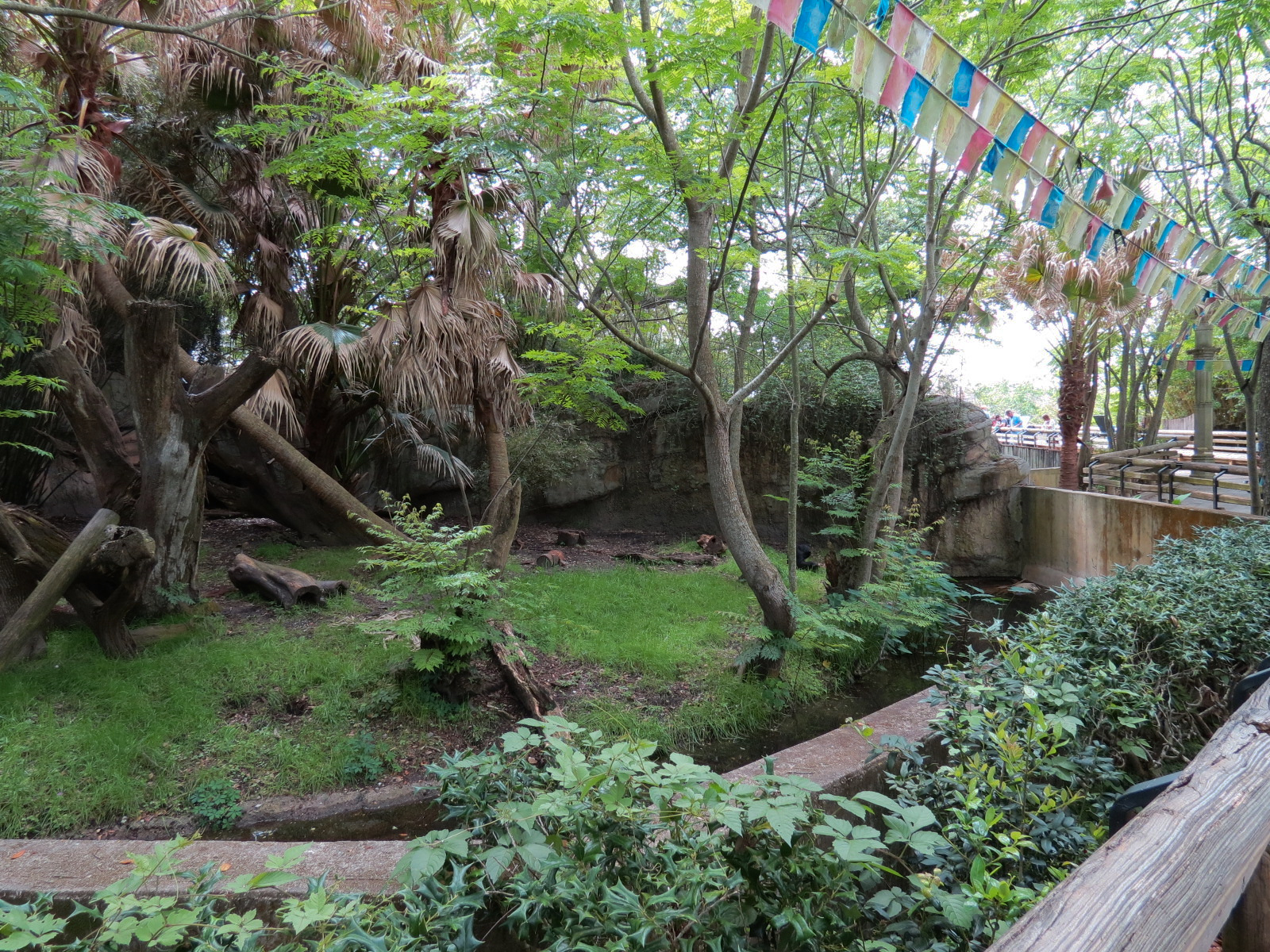 Asian Domain - Sun Bear Exhibit