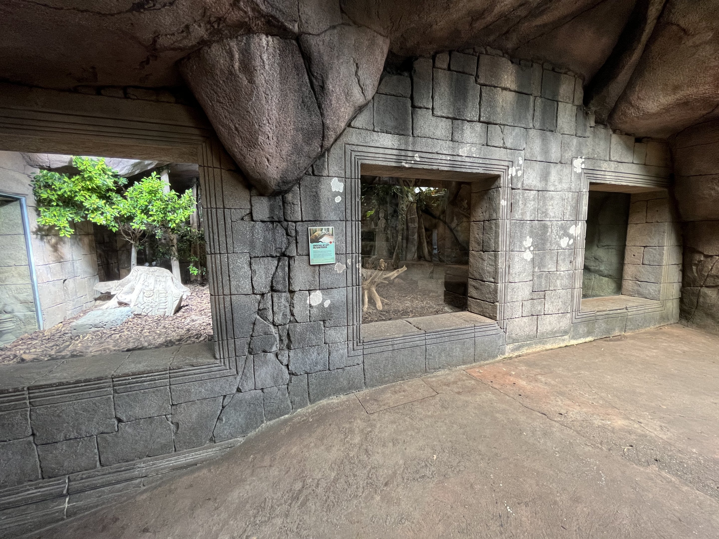 Asian Dome - Komodo Dragon Exhibit