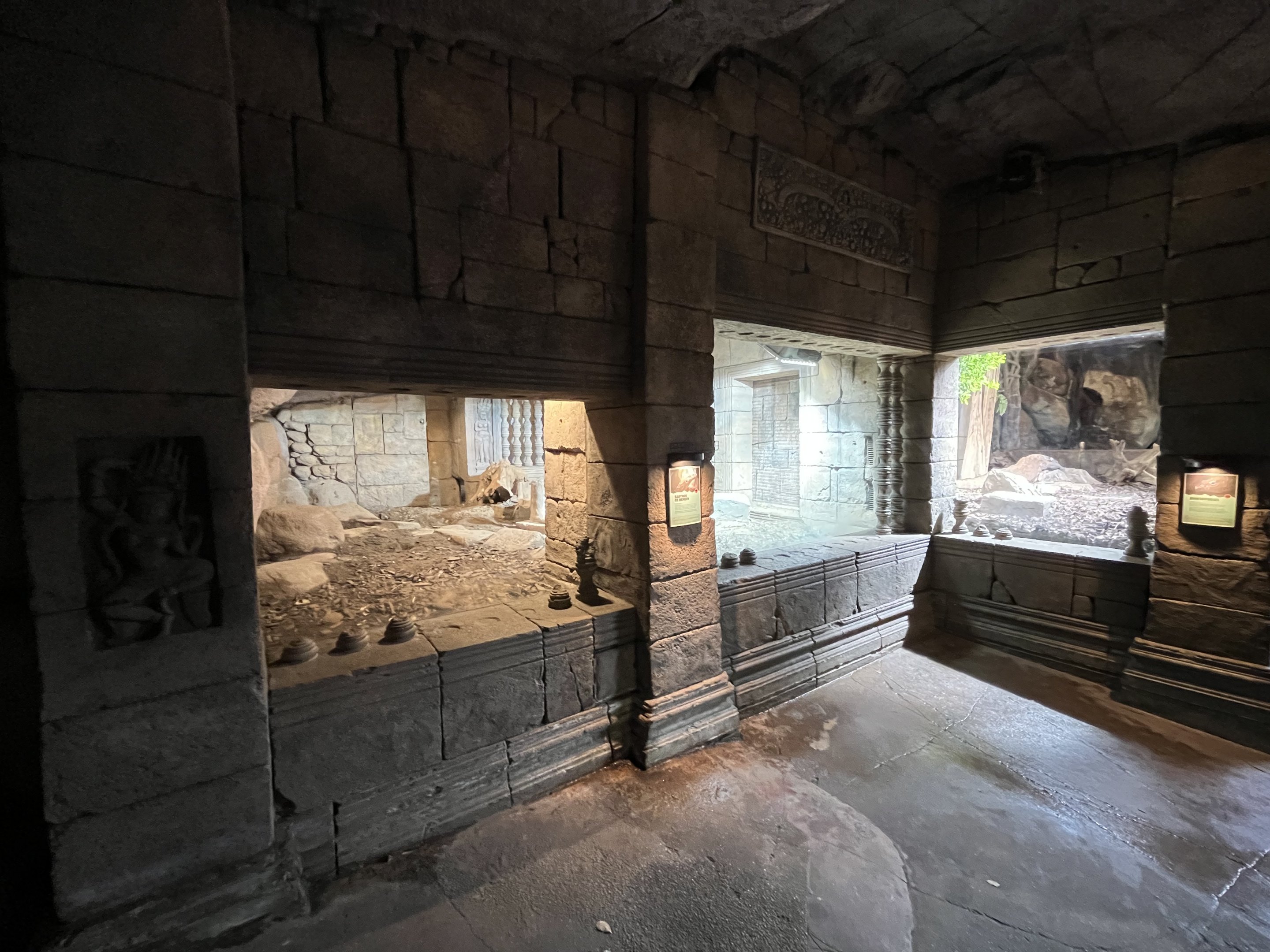 Asian Dome - Komodo Dragon Exhibit