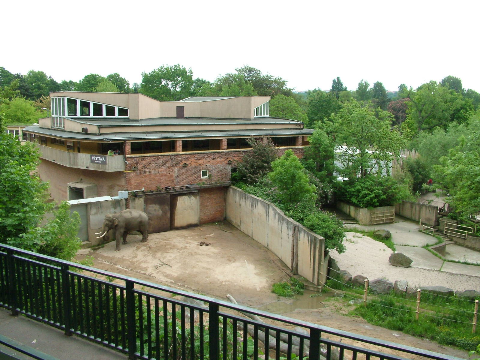 Asian Elephant and Common Hippo paddocks at Prague, 24/05/10