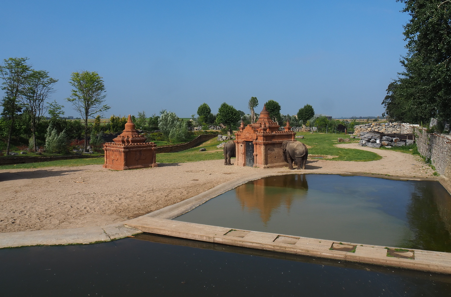 Asian elephant area, 2021-09-02