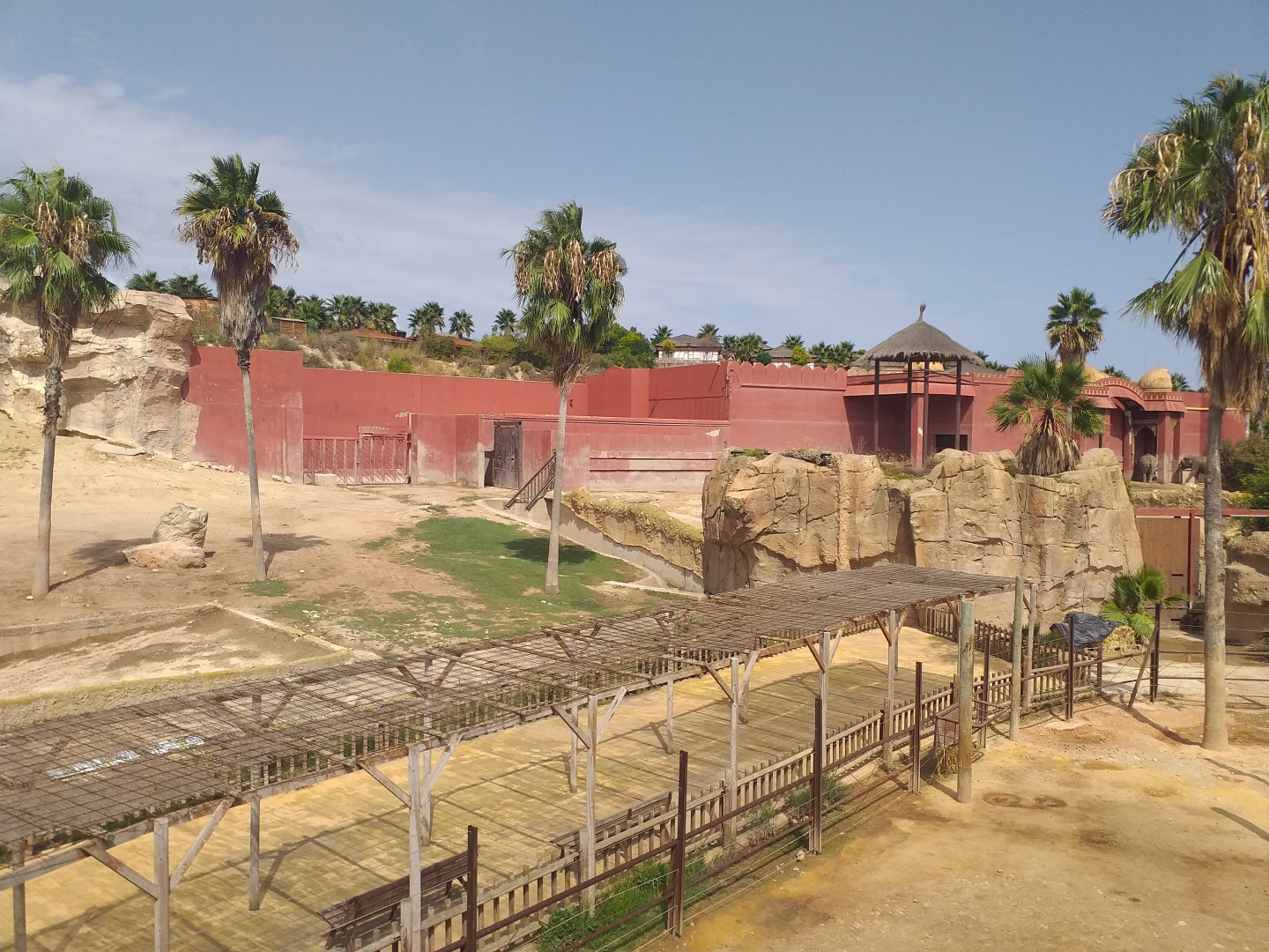 Asian elephant, Barashinga, Blackbuck and Axis exhibit -TerraNatura Benidorm (2021)